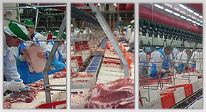 Meat Pros - branża mięsna